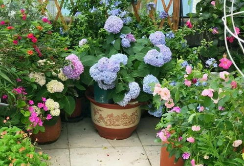 绿色诱惑，虫子也动心