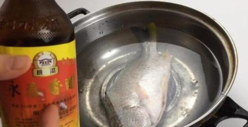 白醋、食用盐、洗碗液及漂白水配方