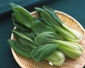 鹅肠菜：叶似鹅肠