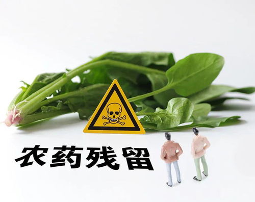 防治地下害虫，小光农药来帮忙