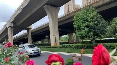 二环变花环， 美丽风景线