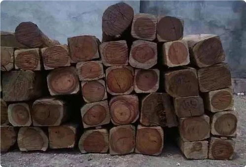 雪松木桩：承载力和稳定性