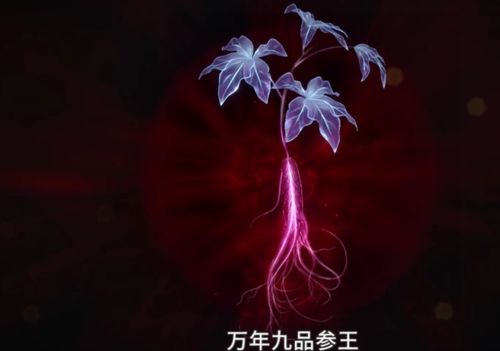 二、龙吐珠的寓意与象征