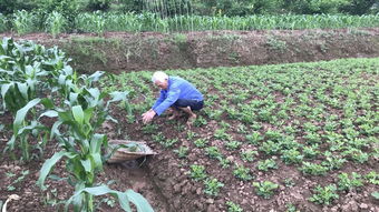 注意事项，可不Neng大意