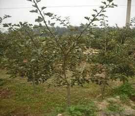 解决方法大放送