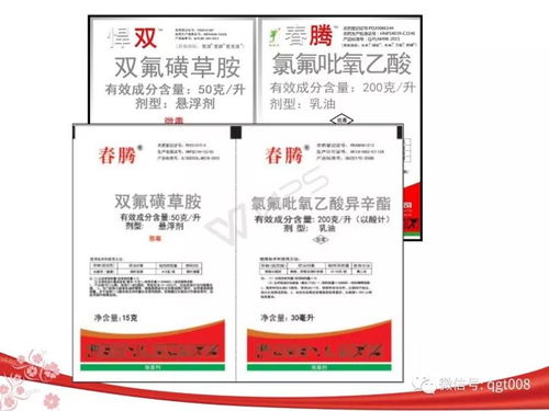 用药量， 因草而异