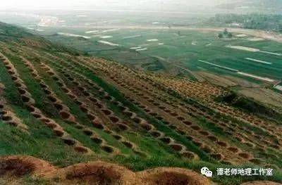 坡地河岸种草防治水土流失方案实测效果如何？