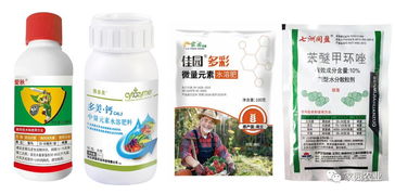 百菌清过量使用的危害