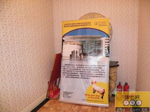 兽药勃林格产品有哪些？中国有哪些顶尖的兽药公司？