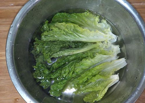 叶菜类清洗技巧：先晒太阳， 再清洗