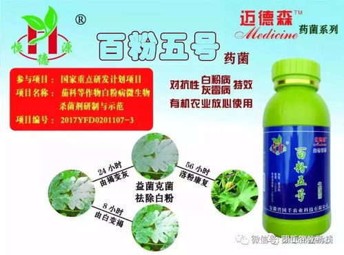 葡萄糖，神奇的小战士