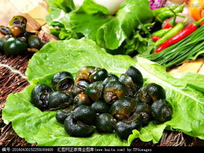 一个螺能繁殖吗？探讨无性繁殖现象及其生物学意义