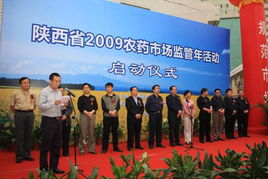 整治行动的具体措施：多管齐下 全面监管