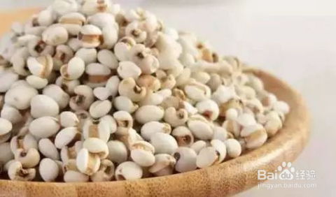 薏米种子，怎么买？