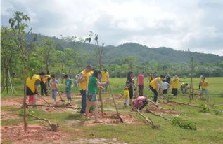 生态造林， 绿色的希望之种
