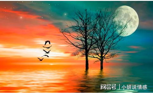 “平凡之美——探索普通花的魅力，这些绽放于尘世间、映照人生之美的花