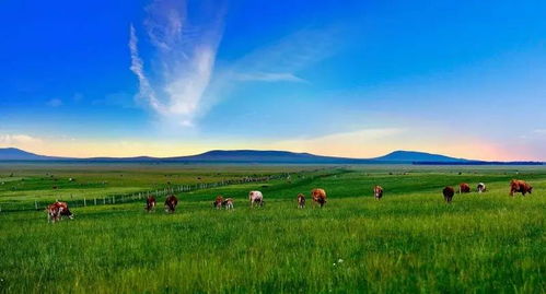 草原植物的生存智慧：与极端天气共舞