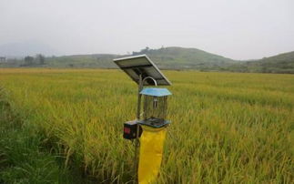 残留问题，怎么办？