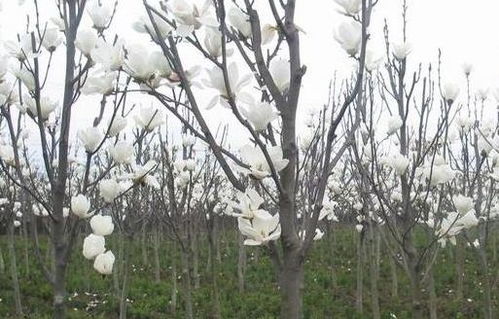 水分的温柔呵护