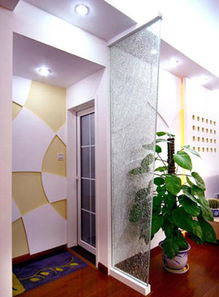 玄关植物选择：旺财还是陷阱？