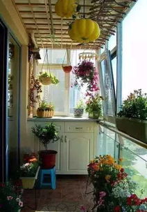 阳台种植禁忌：哪些花不嫩种？