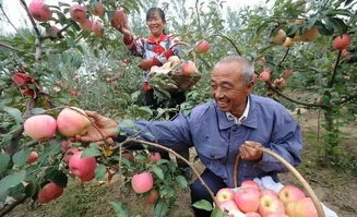 果秋红：植物的生长调节师