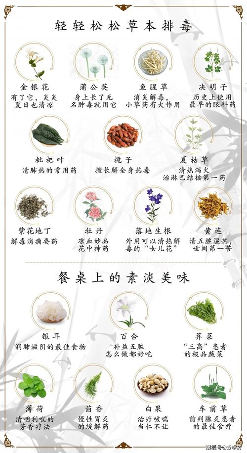 哪些中药的药理和作用值得收藏？