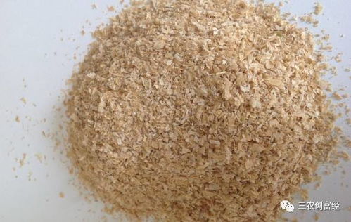 豆粕优化技术如何释放饲料潜力？饲料潜力如何从抗营养到营养库