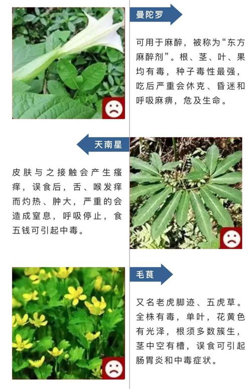 农药的类型及影响