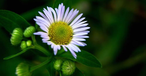 亲子教育新玩法