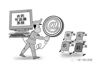 第一步：进入查询界面