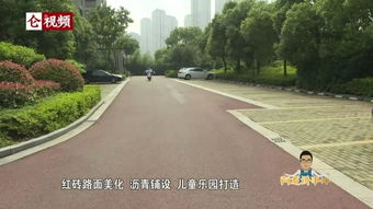 小区的绿化马尼拉草坪养护和管理