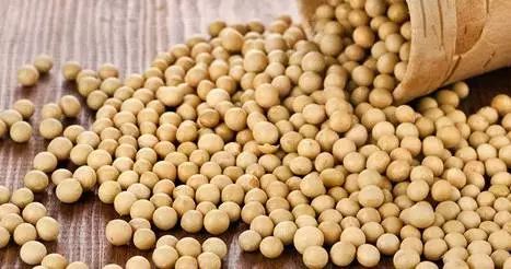 大豆及其制品：皂苷的力量