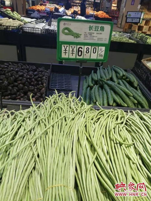 大石桥市芸豆价格跌至白菜价，市场供应过剩