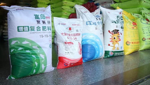 丰喜：华东地区的希望