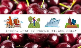 车厘子冬天如何保鲜？这几个方法让它更持久