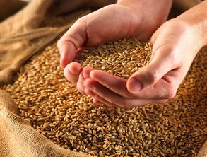 选择除草剂要因杂草而异