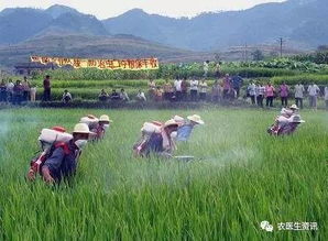 农药使用细节，你注意了吗？