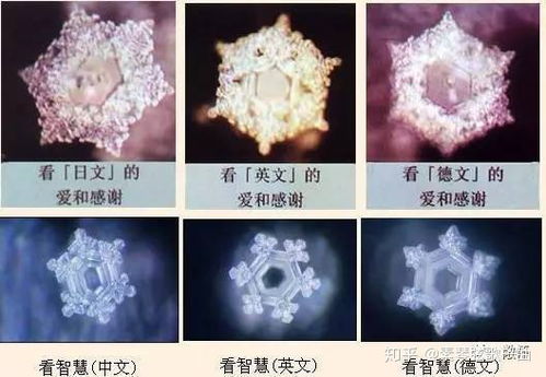 宝石花有什么特殊的光泽变化特性，以及它所蕴含的神秘含义是什么