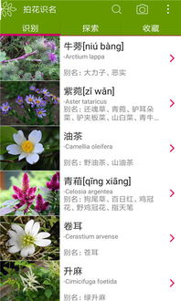 识别花草， 轻松上手