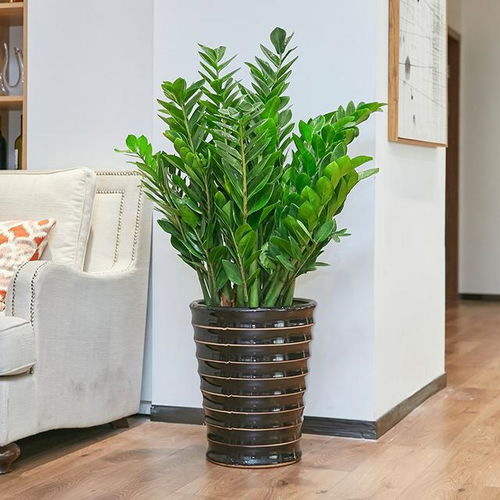 二、价格波动的原因