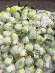 彰化县社头织袜芭乐节，一场结合传统织袜工艺与热带水果芭乐的欢乐庆典