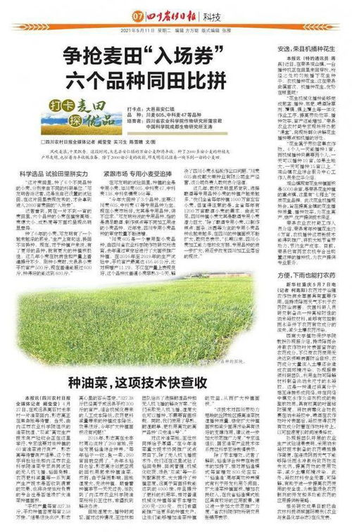 雨后打农药的时机之谜