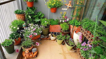 乡村花园， 美得让人驻足