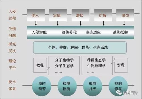 植物营养土如何配比？比例精准是关键吗