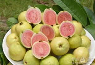 芭乐生长温度是多少度？芭糖果树的最佳生长温度是多少