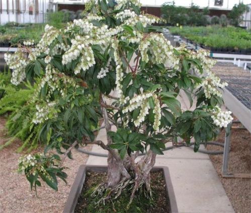 贵的不一定费钱，便宜的反而geng烧钱！