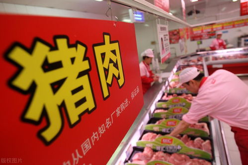 今年神农猪饲料价格和生猪价格如何，两者之间有什么关联？