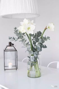 除此之外花瓶口还尤qi不嫩有过多的叶片。