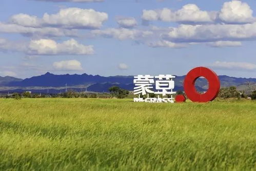 那曲牧民扎西的案例